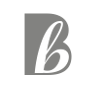Blogger Boutique